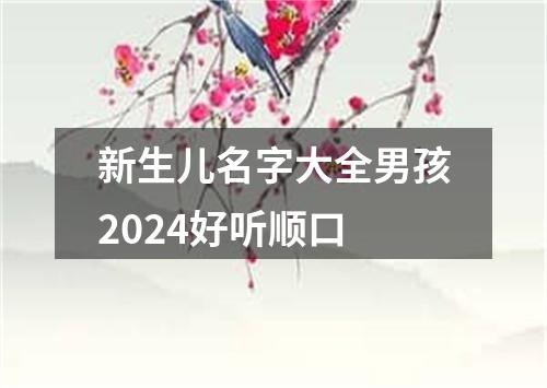 新生儿名字大全男孩2024好听顺口