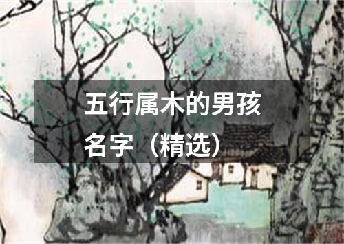 五行属木的男孩名字（精选）