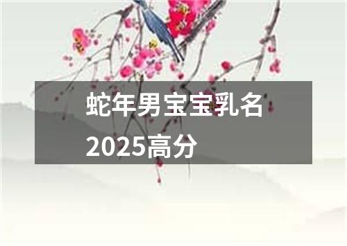 蛇年男宝宝乳名2025高分