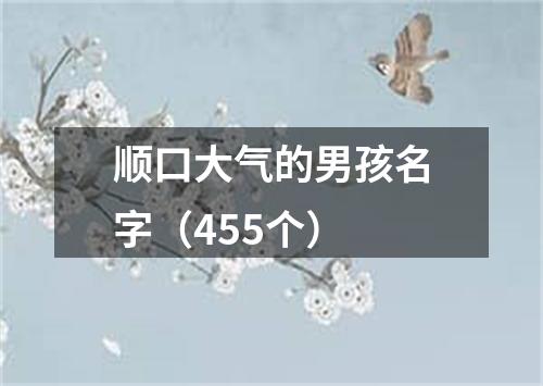 顺口大气的男孩名字（455个）