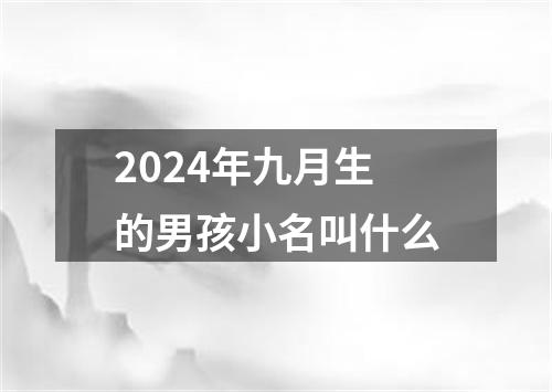 2024年九月生的男孩小名叫什么