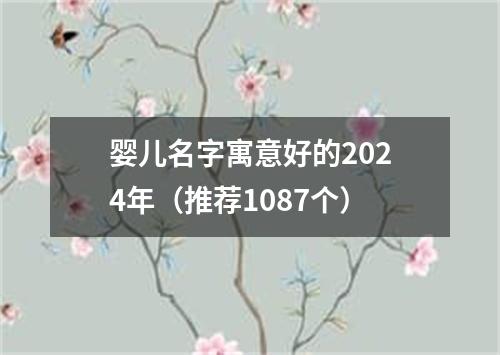 婴儿名字寓意好的2024年（推荐1087个）