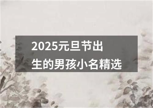 2025元旦节出生的男孩小名精选