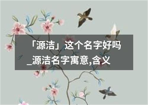 「源洁」这个名字好吗_源洁名字寓意,含义