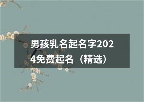 男孩乳名起名字2024免费起名（精选）