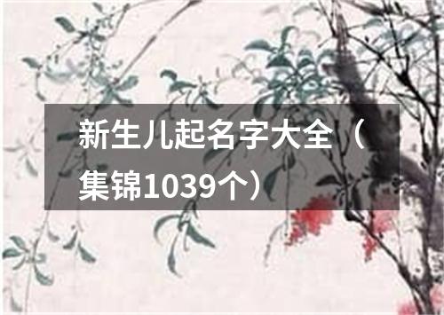 新生儿起名字大全（集锦1039个）