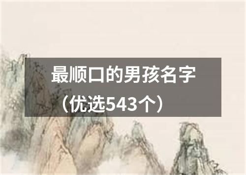 最顺口的男孩名字（优选543个）