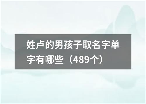 姓卢的男孩子取名字单字有哪些（489个）