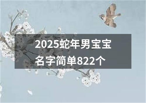 2025蛇年男宝宝名字简单822个