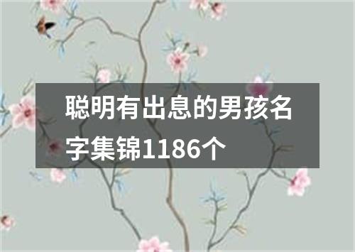 聪明有出息的男孩名字集锦1186个