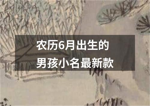 农历6月出生的男孩小名最新款