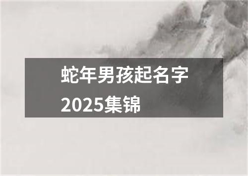 蛇年男孩起名字2025集锦