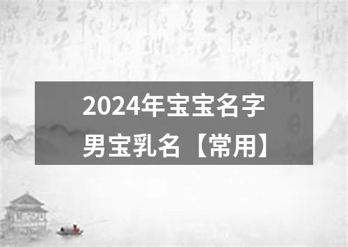 2024年宝宝名字男宝乳名【常用】