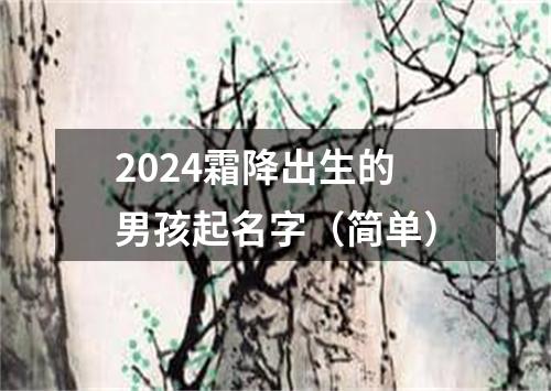 2024霜降出生的男孩起名字（简单）