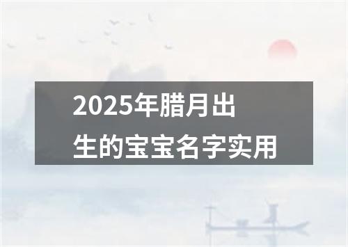 2025年腊月出生的宝宝名字实用