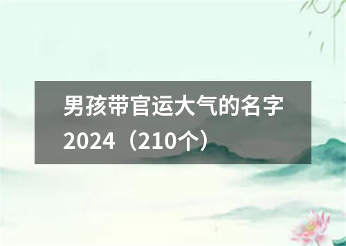 男孩带官运大气的名字2024（210个）