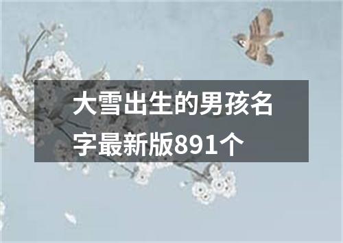 大雪出生的男孩名字最新版891个