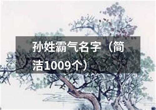 孙姓霸气名字（简洁1009个）