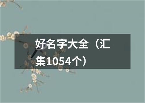 好名字大全（汇集1054个）