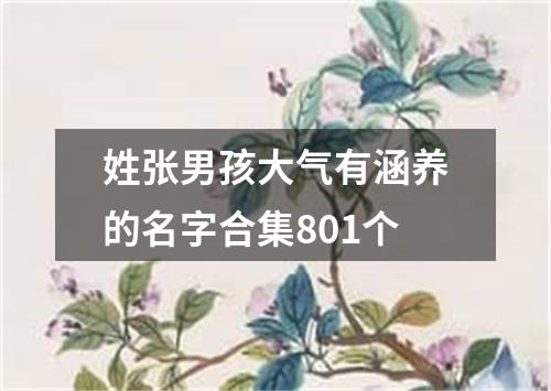 姓张男孩大气有涵养的名字合集801个