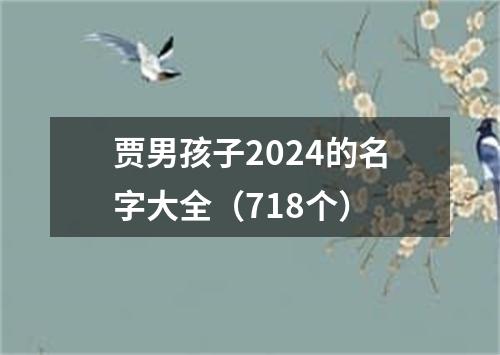 贾男孩子2024的名字大全（718个）