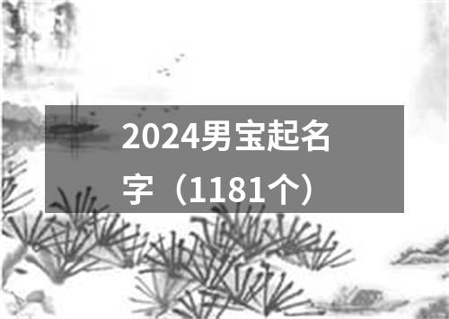 2024男宝起名字（1181个）