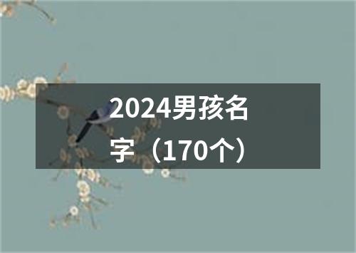 2024男孩名字（170个）