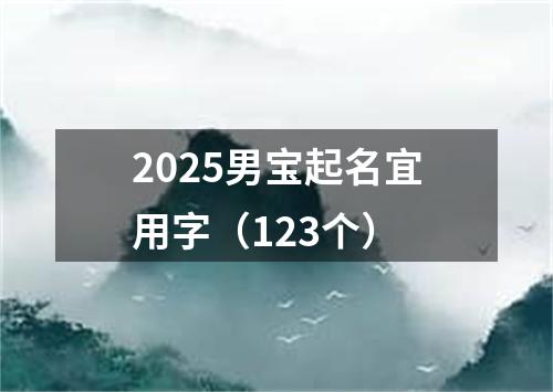 2025男宝起名宜用字（123个）