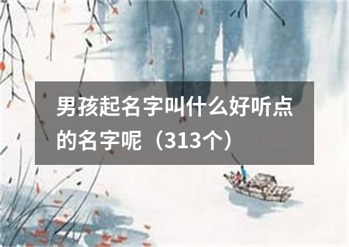 男孩起名字叫什么好听点的名字呢（313个）