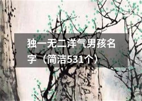 独一无二洋气男孩名字（简洁531个）