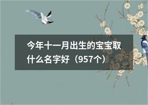 今年十一月出生的宝宝取什么名字好（957个）