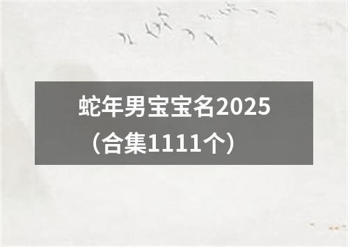 蛇年男宝宝名2025（合集1111个）