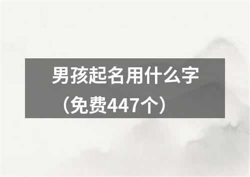 男孩起名用什么字（免费447个）