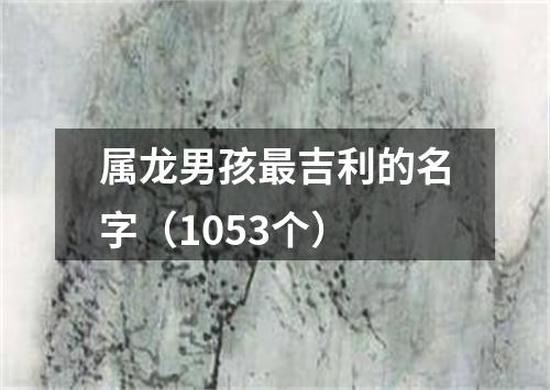 属龙男孩最吉利的名字（1053个）