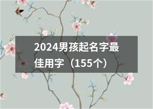 2024男孩起名字最佳用字（155个）