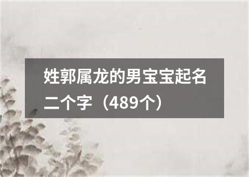 姓郭属龙的男宝宝起名二个字（489个）