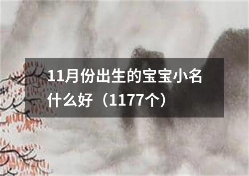 11月份出生的宝宝小名什么好（1177个）