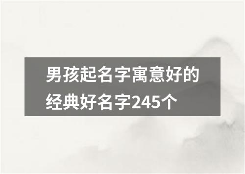 男孩起名字寓意好的经典好名字245个