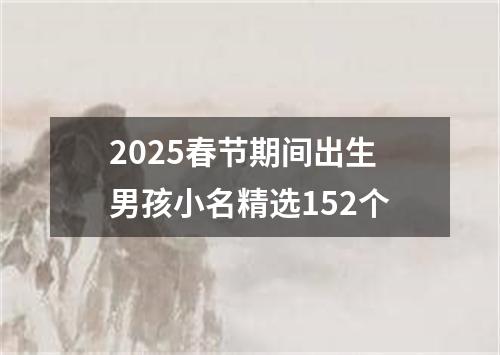 2025春节期间出生男孩小名精选152个