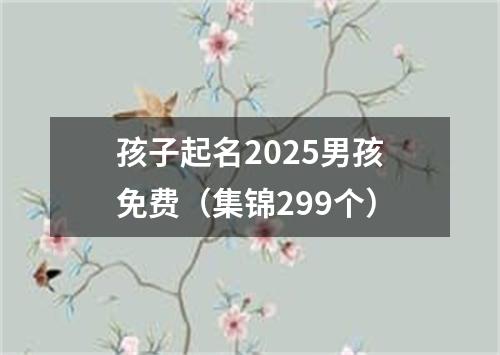 孩子起名2025男孩免费（集锦299个）