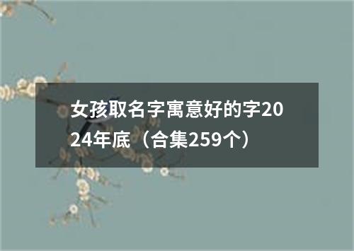 女孩取名字寓意好的字2024年底（合集259个）