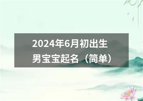 2024年6月初出生男宝宝起名（简单）