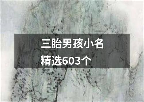 三胎男孩小名精选603个