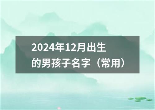 2024年12月出生的男孩子名字（常用）