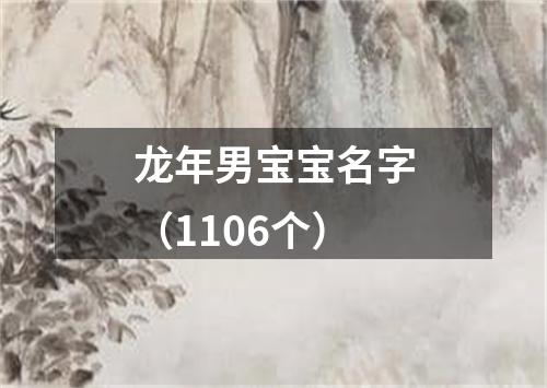 龙年男宝宝名字（1106个）