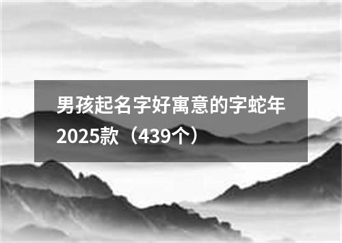 男孩起名字好寓意的字蛇年2025款（439个）