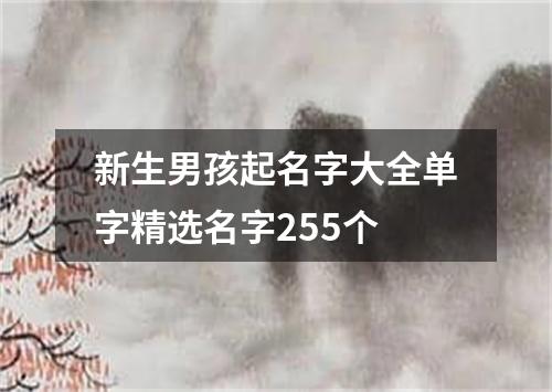 新生男孩起名字大全单字精选名字255个