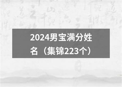 2024男宝满分姓名（集锦223个）