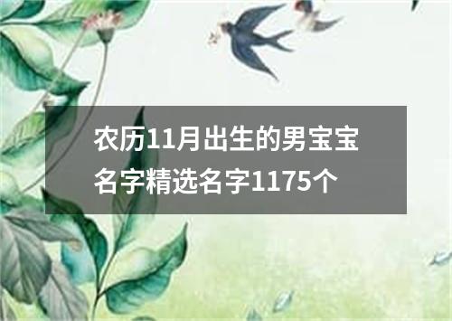 农历11月出生的男宝宝名字精选名字1175个