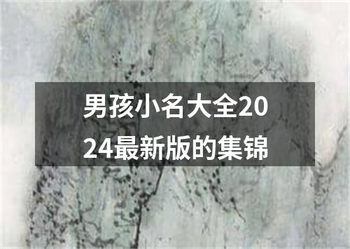 男孩小名大全2024最新版的集锦